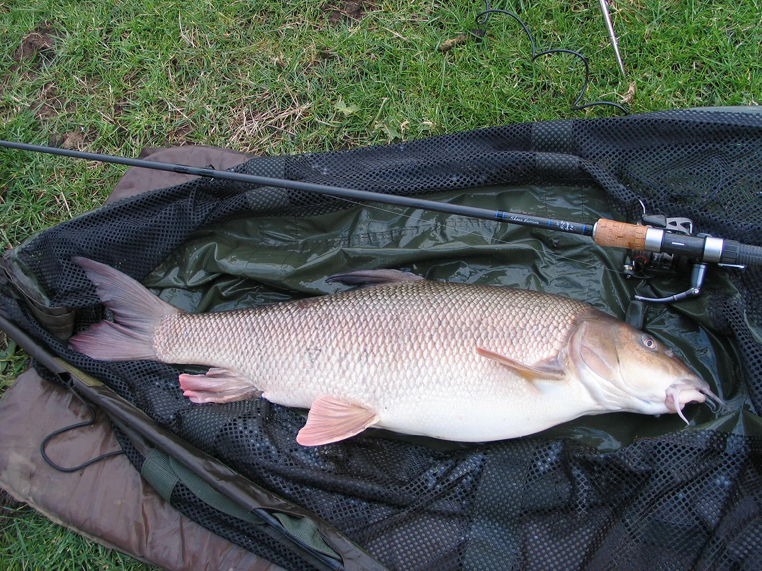 scenic-fish-caught-on-specialist-rod
