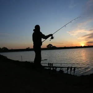 Stalking & Surface Rods