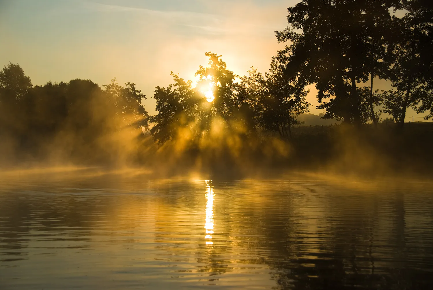 seeker-carp-rods-scenic